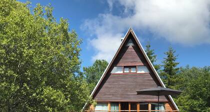 Chalet Rental for 6 People in Quiet Super Besse