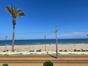 Una playa con una palmera, cielo azul despejado y una pasarela de madera.