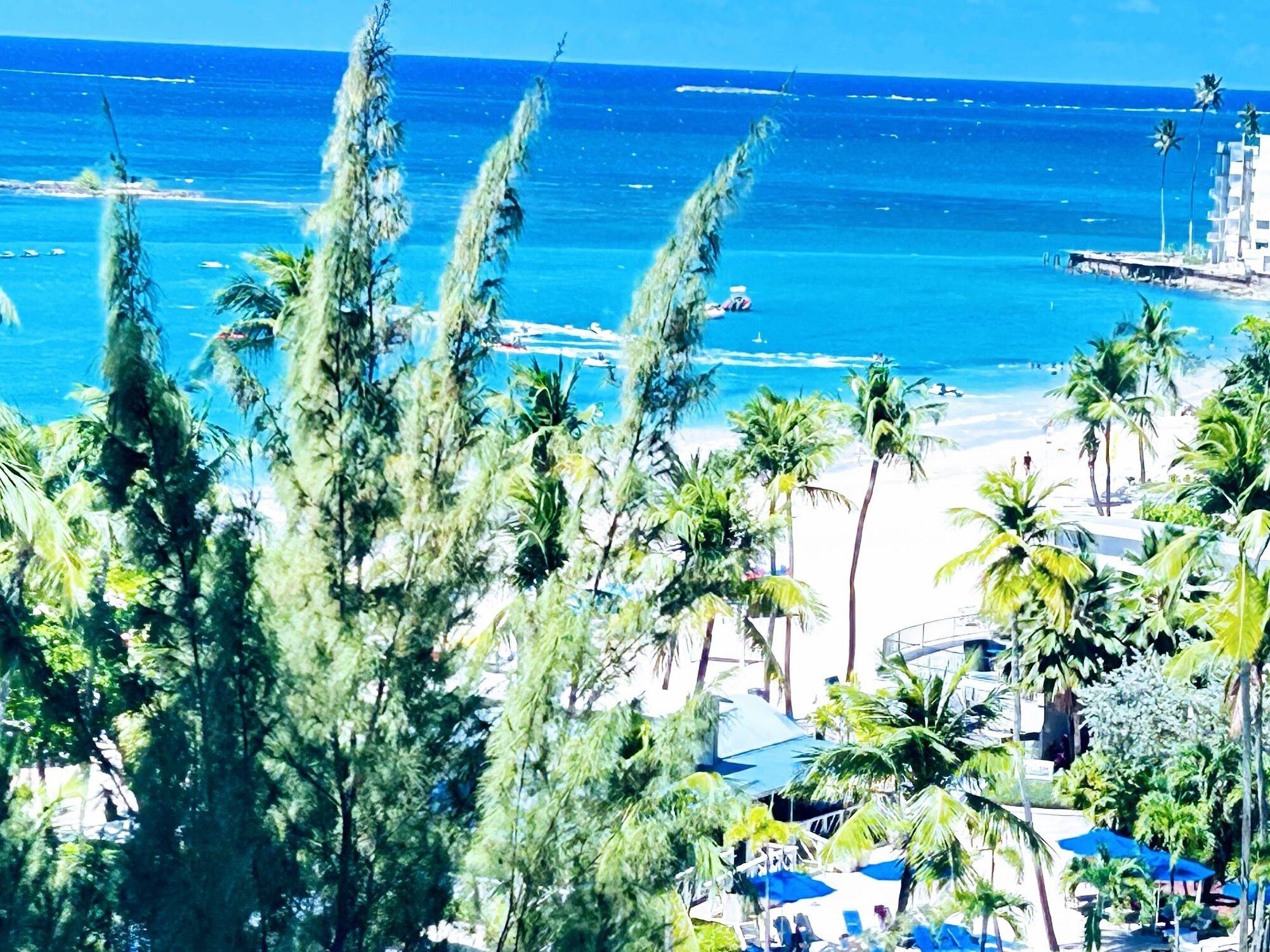 A beach resort with palm trees, a sandy beach, and a view of the ocean.