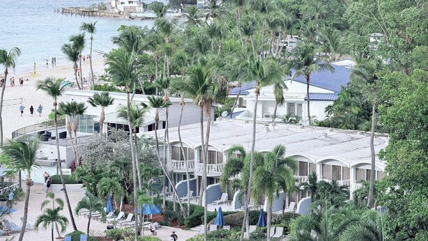 A resort with a pool area, palm trees, and a view of the beach and ocean. - My Paradise: Tropical, 3-star, beach, sand—everything at your fingertips (Carolina Puerto Rico)