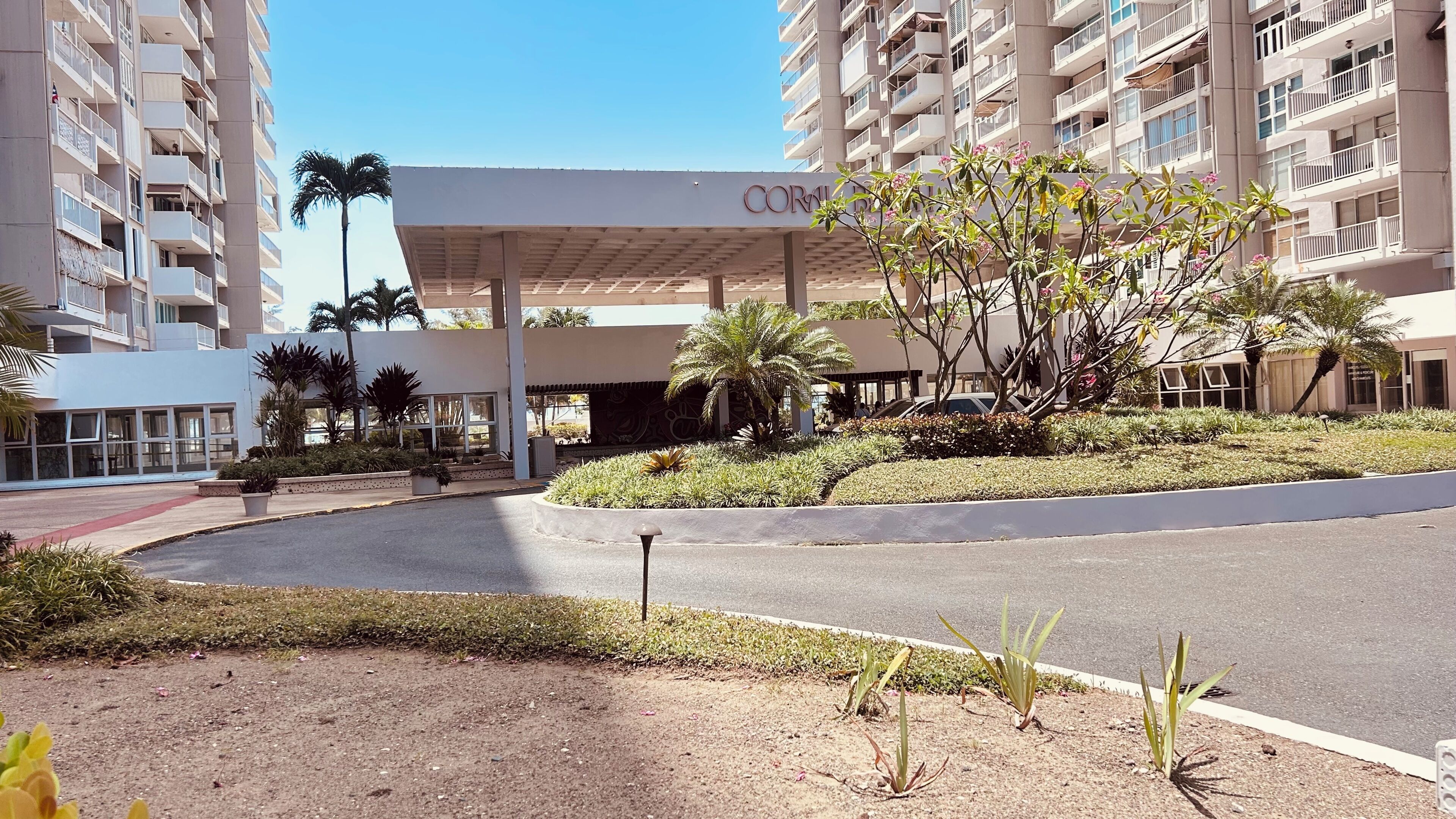A hotel entrance with a covered waiting area, palm trees, and a road in front.
