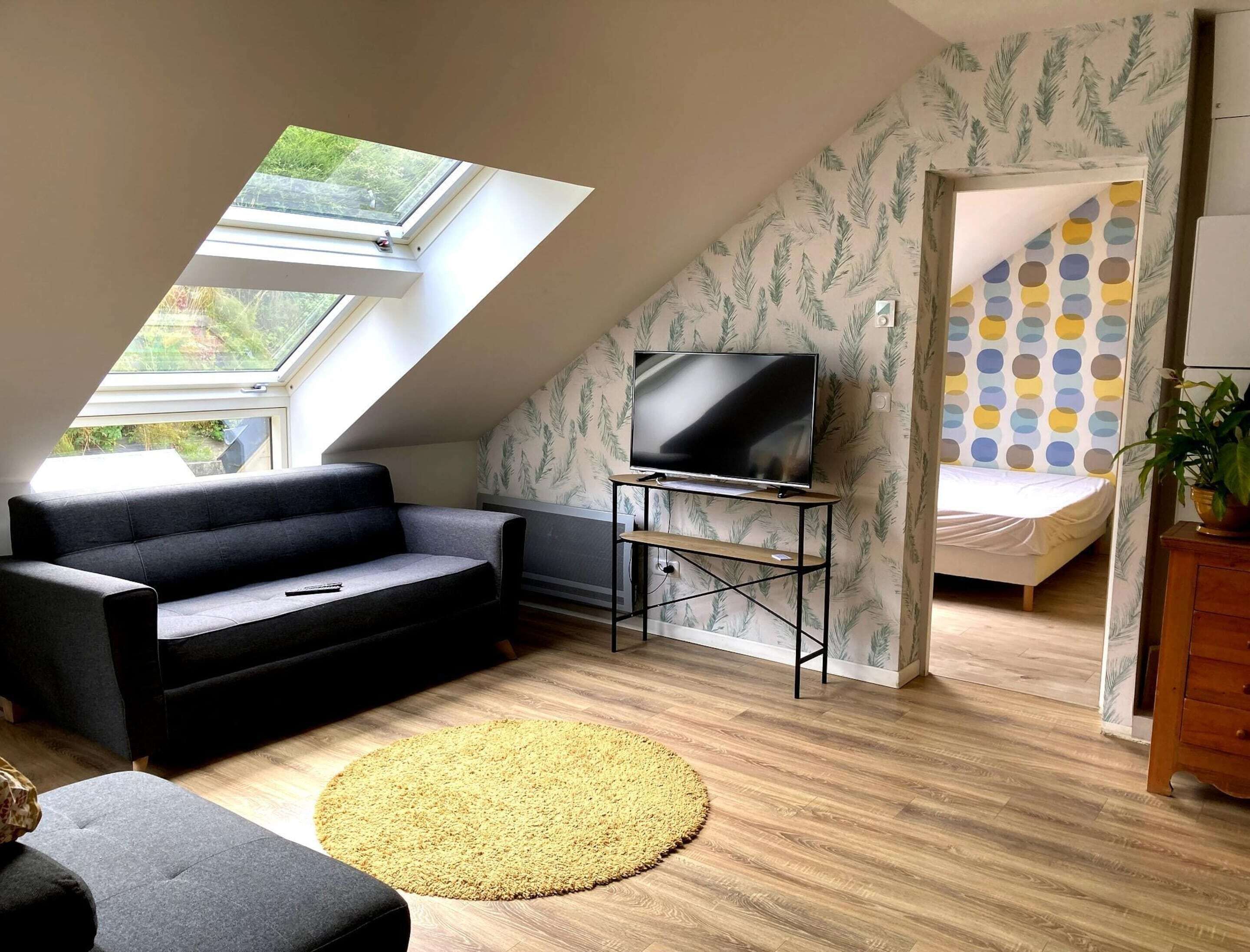 A loft-style room with a TV on a stand, a sofa, a bed, and a skylight.