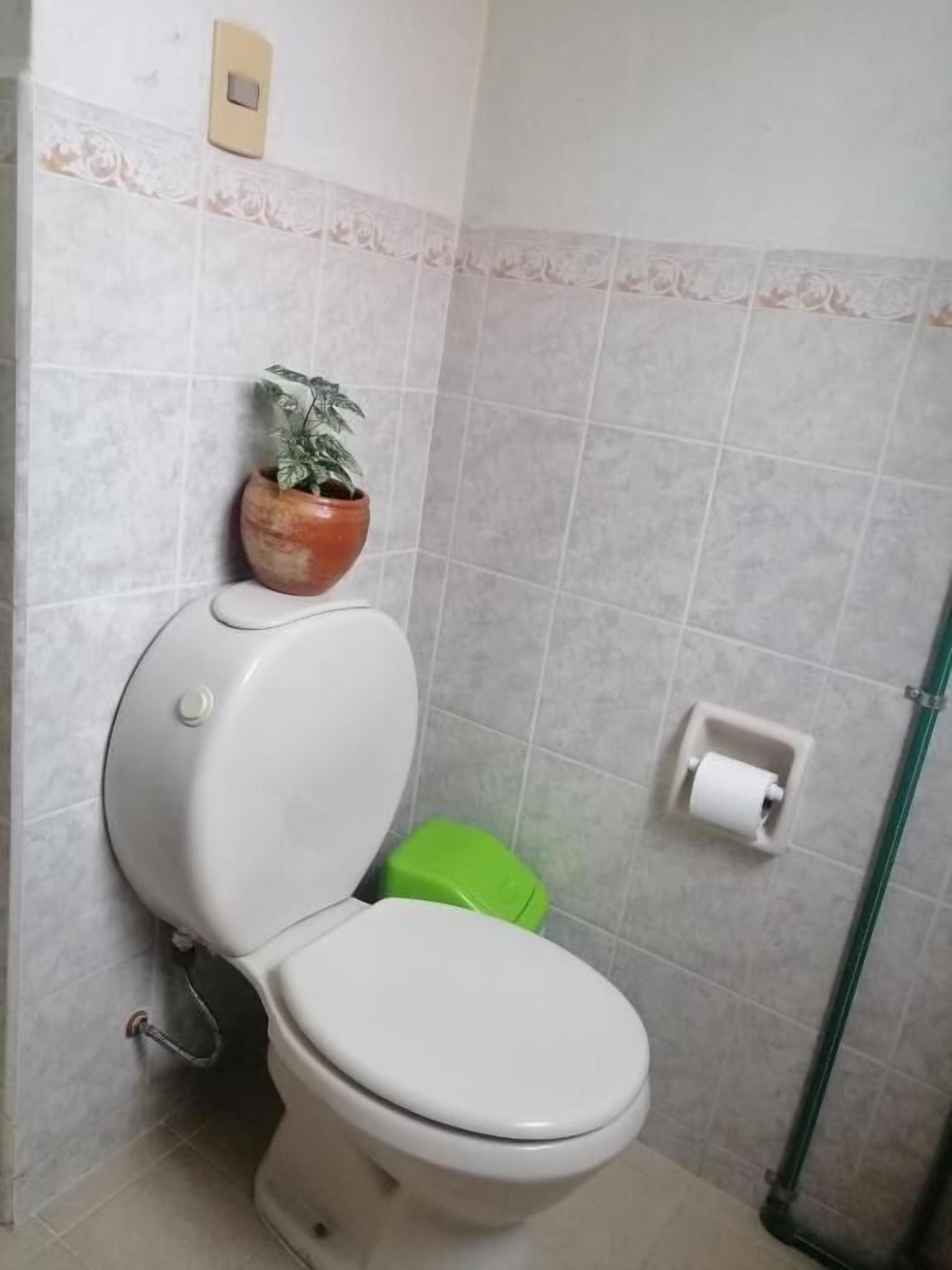 Ein Badezimmer mit Toilette, einem grünen Mülleimer, einer Topfpflanze und einem Toilettenpapierhalter an der Wand.