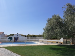 A swimming pool, a white building with a decorative facade, and a large tree.