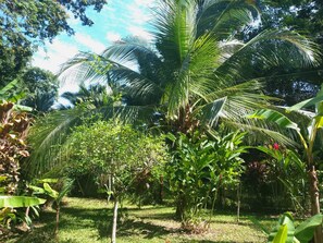 Área da propriedade