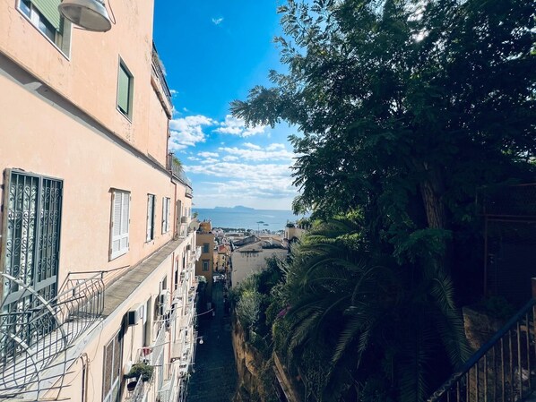 Vista desde la propiedad