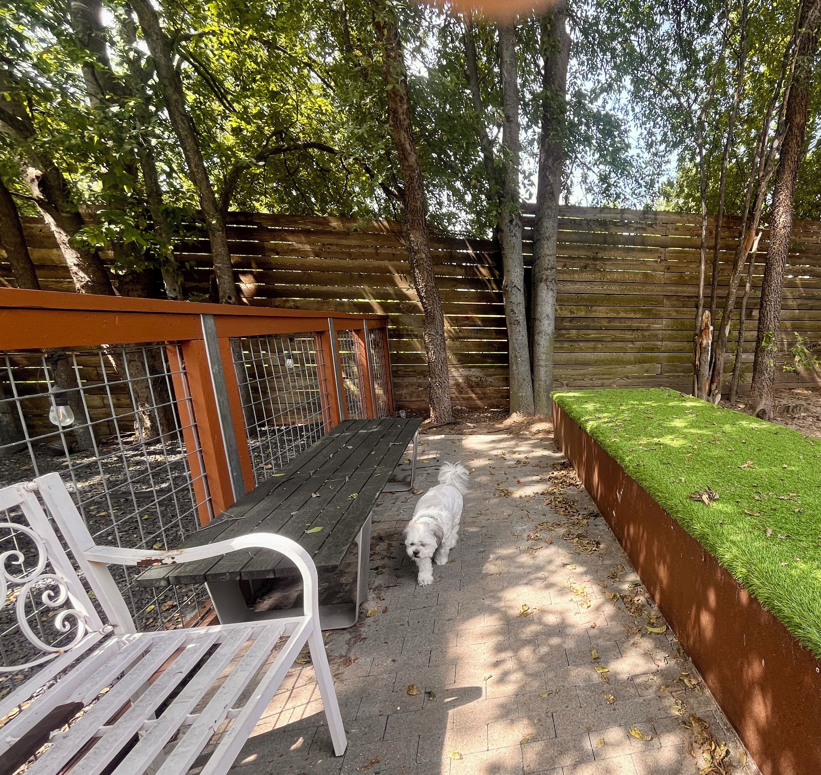 Un espacio al aire libre cercado, con un banco y una zona cubierta de césped.