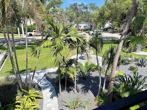A landscaped area with palm trees, a paved walkway, and parked cars.