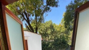 Vista a través de una ventana que muestra un patio con una escalera, una pequeña mesa y una planta en maceta.