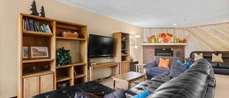 TV, fireplace