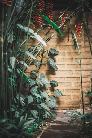Paredes de tijolos com plantas penduradas e um caminho estreito.
