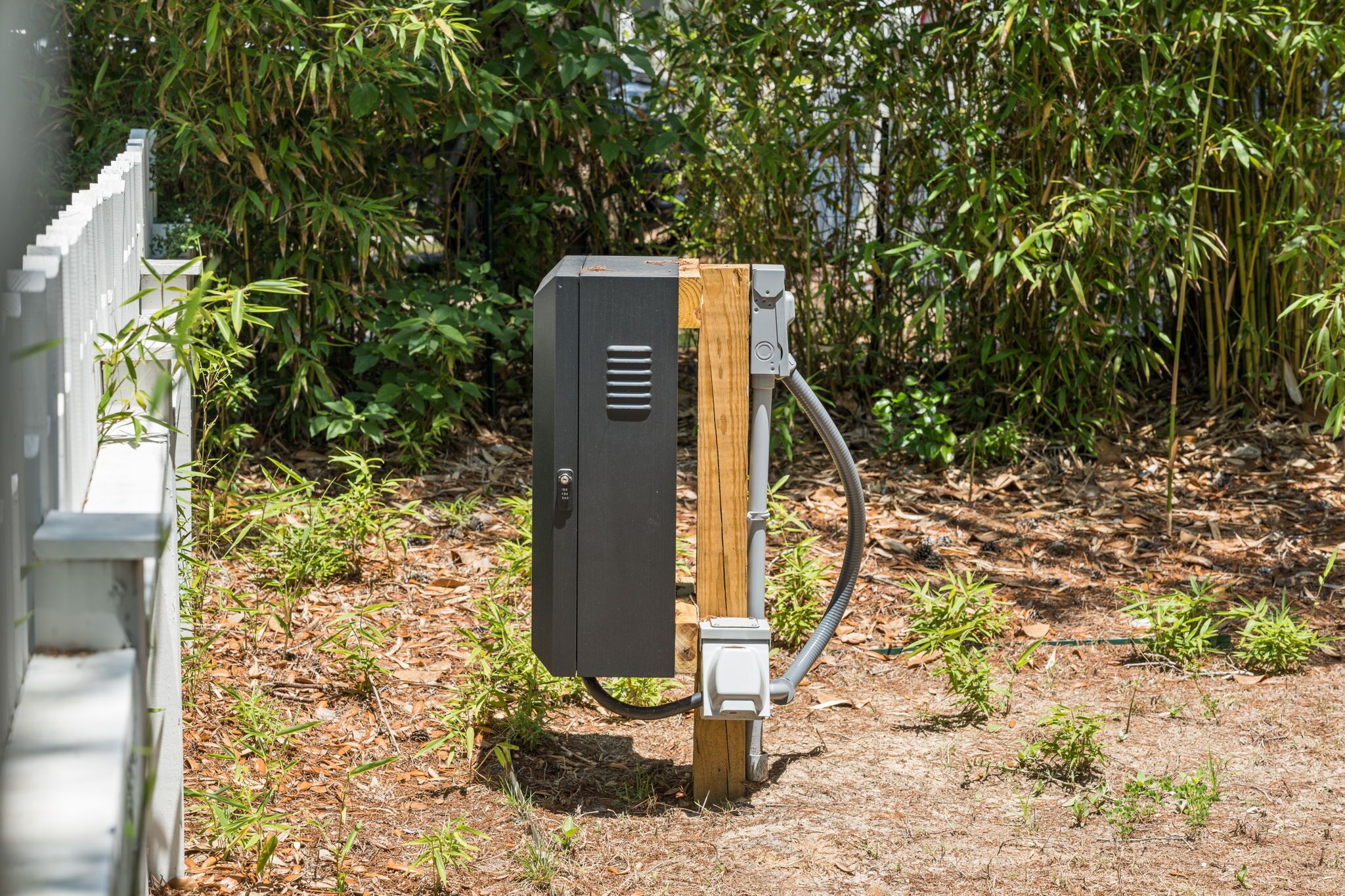 Una caja de servicios instalada en un poste de madera con un conducto de metal, rodeada de bambú y otra vegetación.