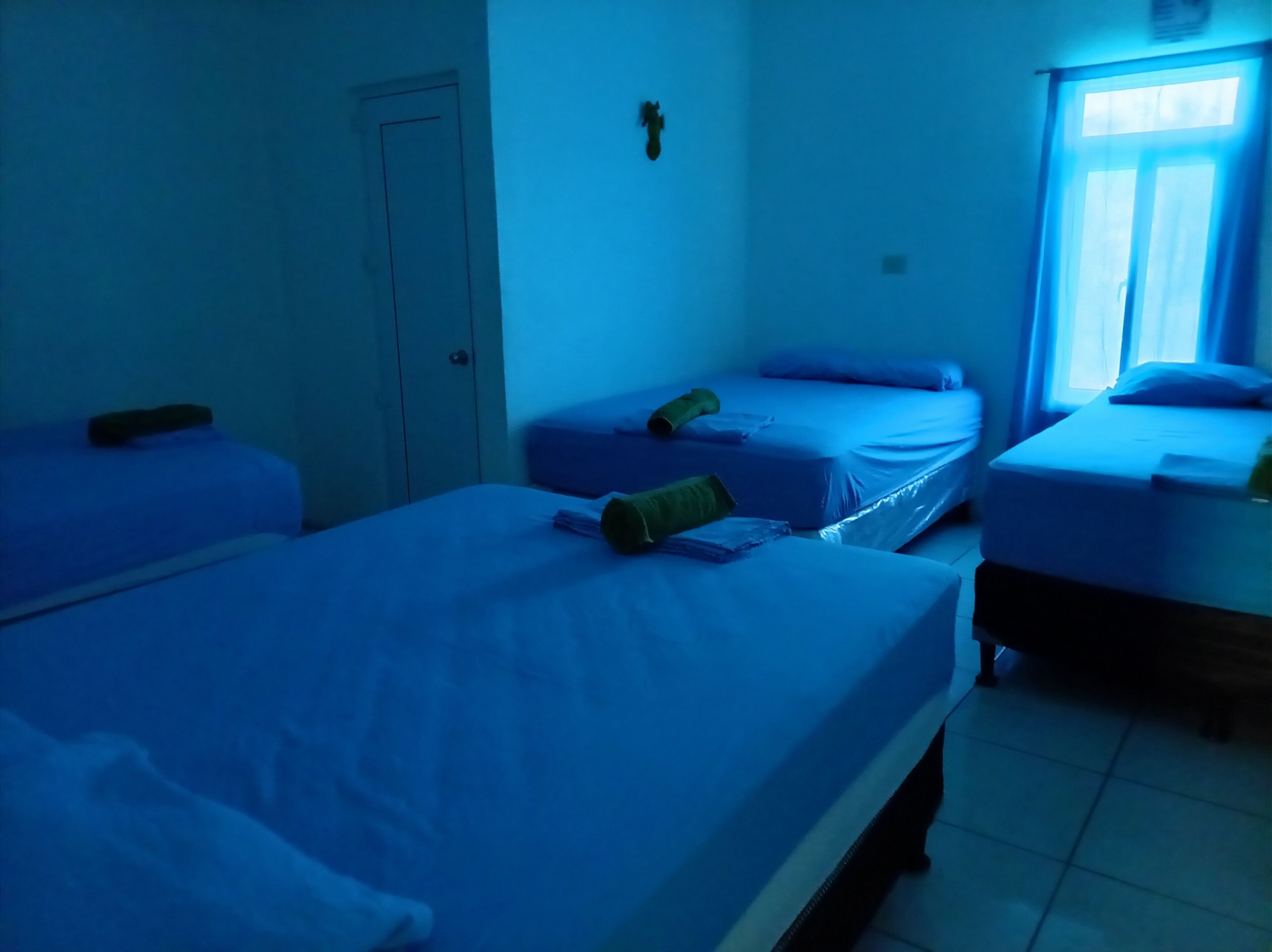 3 habitaciones, wifi y ropa de cama 