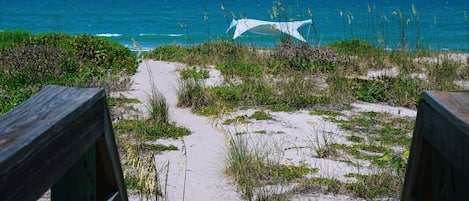 Una playa cerca