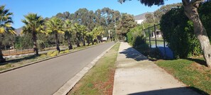 Une route bordée de palmiers et un trottoir.