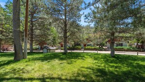 A park-like setting with trees, a small building, and a pathway. - Sierra cabin for two with a cheerful retro kitchen, minutes from Topaz Lake (Coleville)