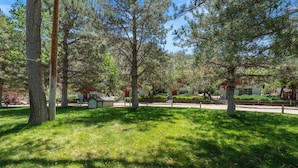 A park-like setting with trees, a small building, and a pathway. - Comfortable cabin for two with full kitchen and a freshly updated bathroom, near Topaz Lake (Coleville)