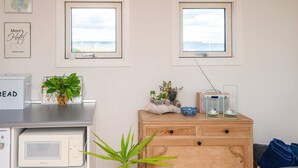 Habitació amb dues finestres, microones, un armari de fusta i una planta.