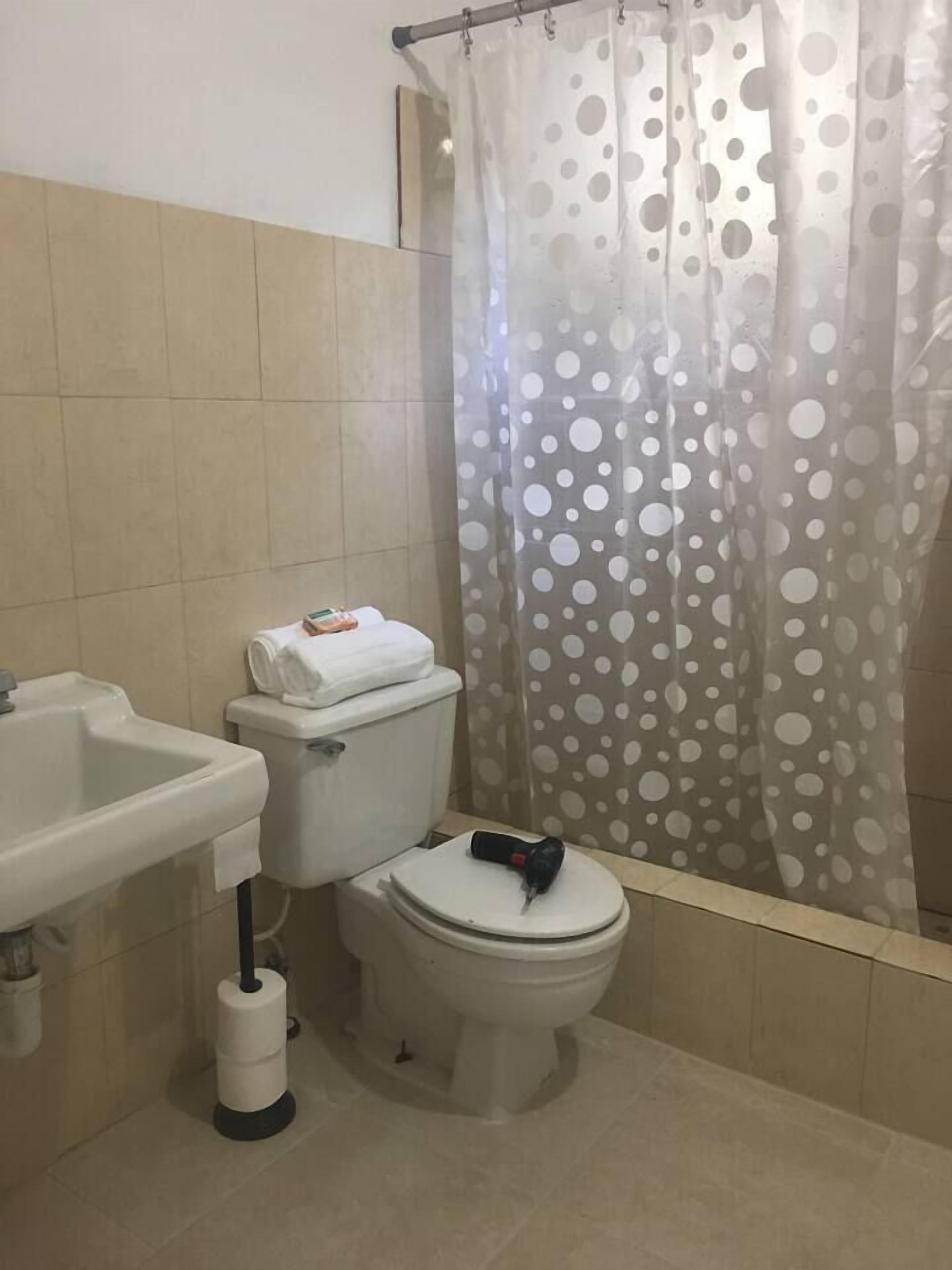 Hair dryer, towels, shampoo, toilet paper