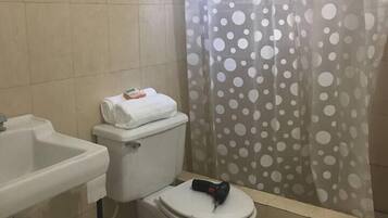 Hair dryer, towels, shampoo, toilet paper