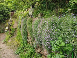 A garden with a Buddha statue, a stone wall, and various plants. - Tranquil Riverside Forest  Cottage in Lydbrook (Lydbrook)