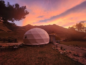 A geodesic dome structure with a small attached building, surrounded by a grassy area with a few trees and a mountain in the background.