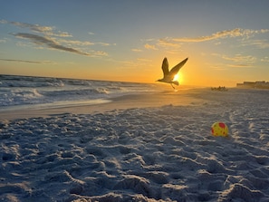 Ein Strand mit Wellen, einer Möwe und einem Ball.