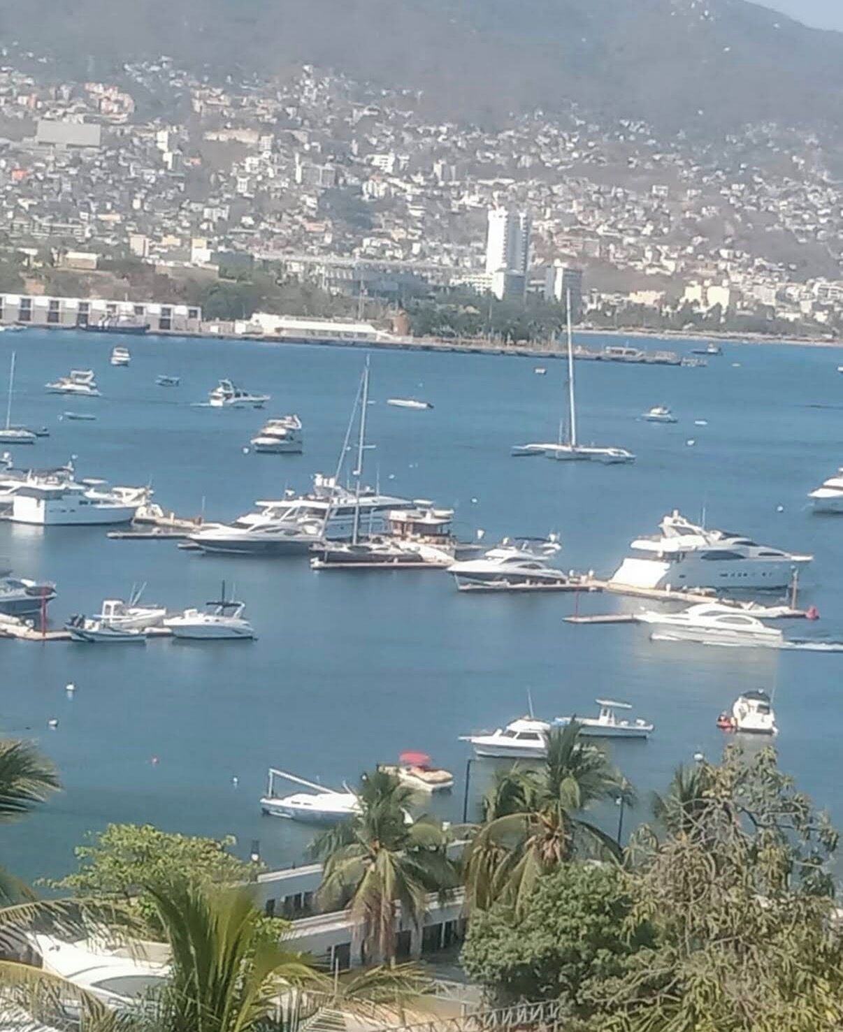 Un port de plaisance où sont amarrés différents types de bateaux, entouré d’un paysage urbain côtier.