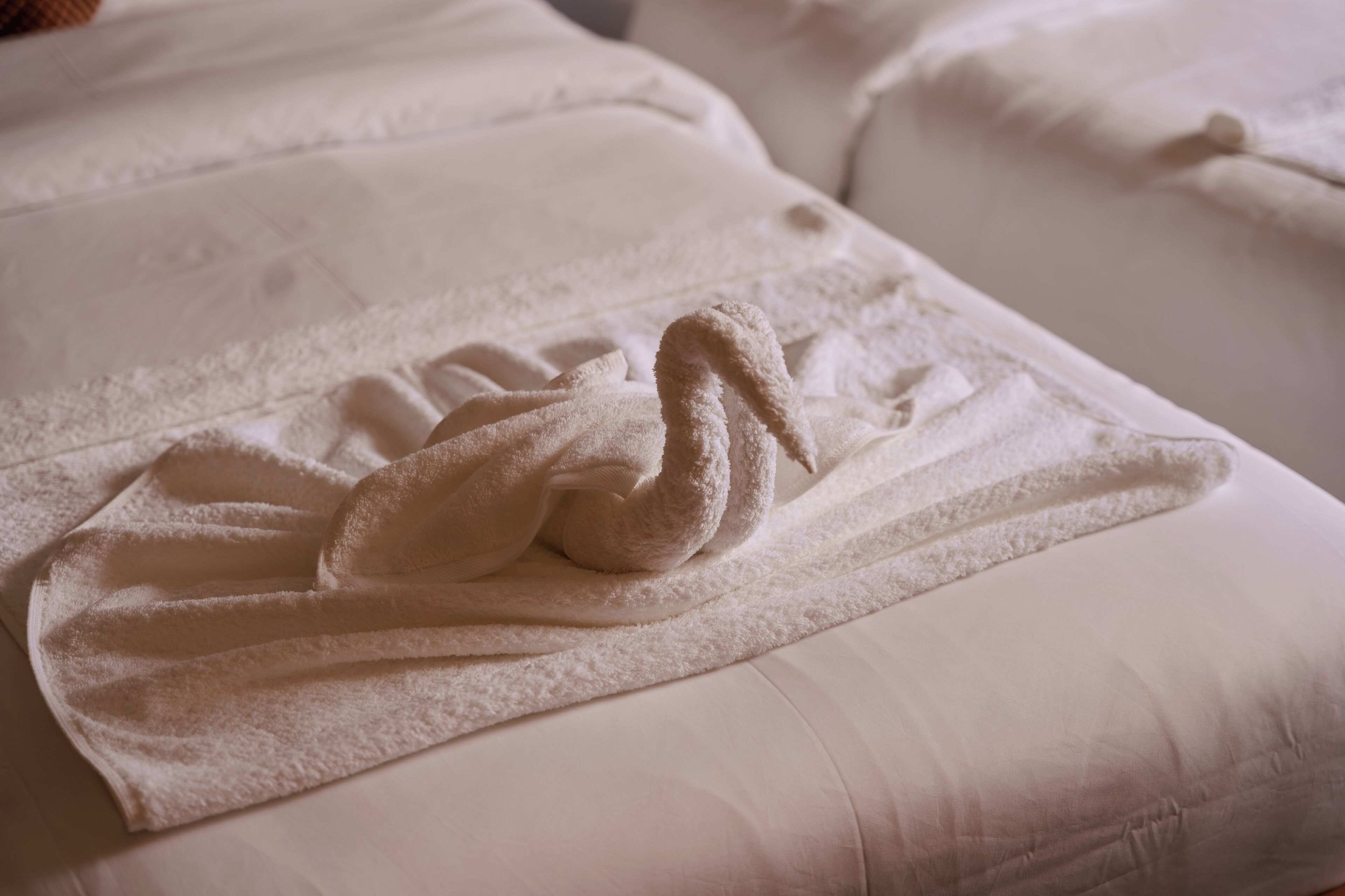 A bed with a neatly folded towel.