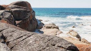 Une côte rocheuse parsemée de gros rochers, avec l’océan en arrière-plan.