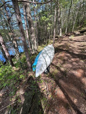 Miscellaneous - The Wild Goose Cabin (Town of Silver Cliff)