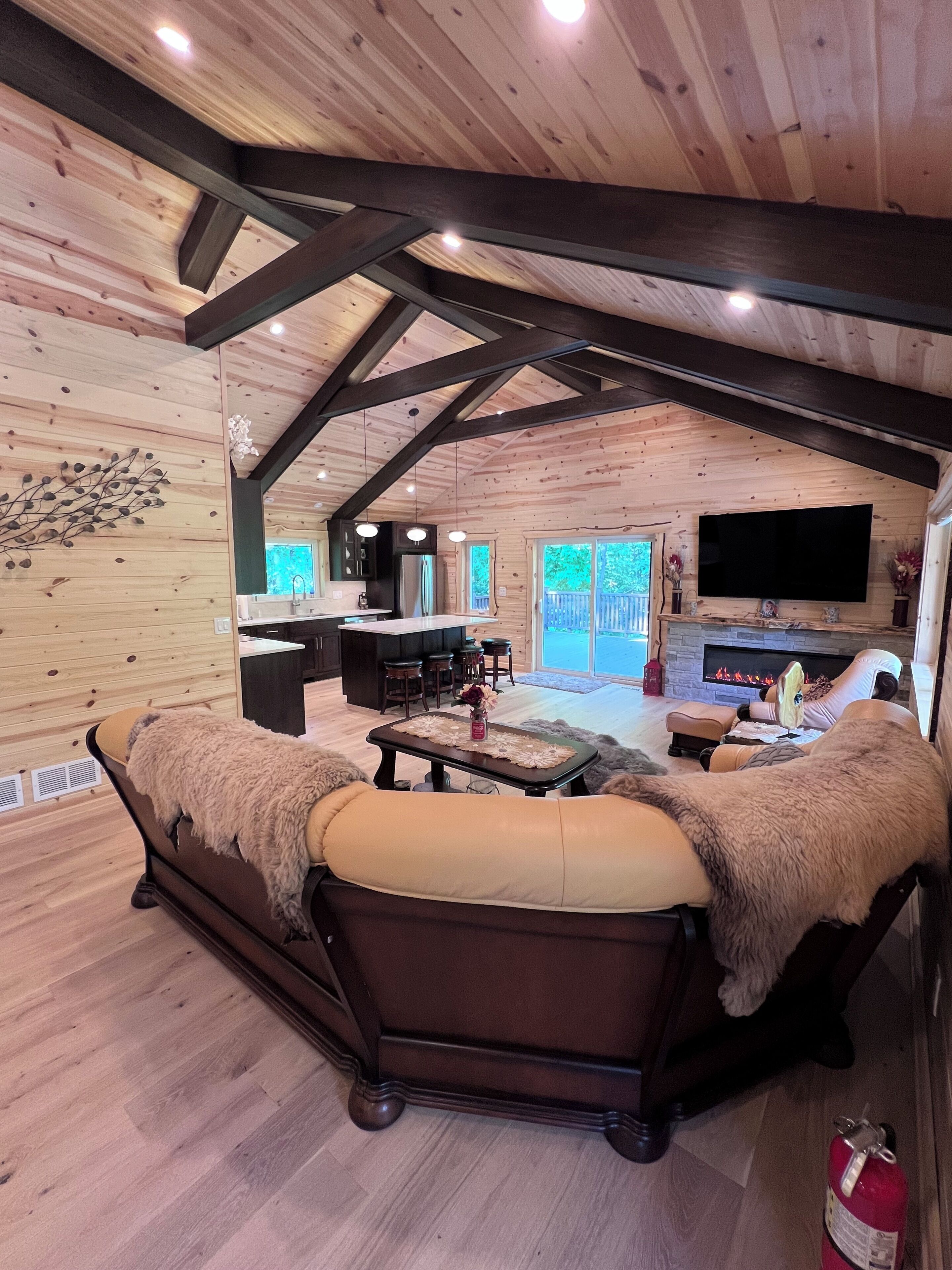 Smart TV, fireplace