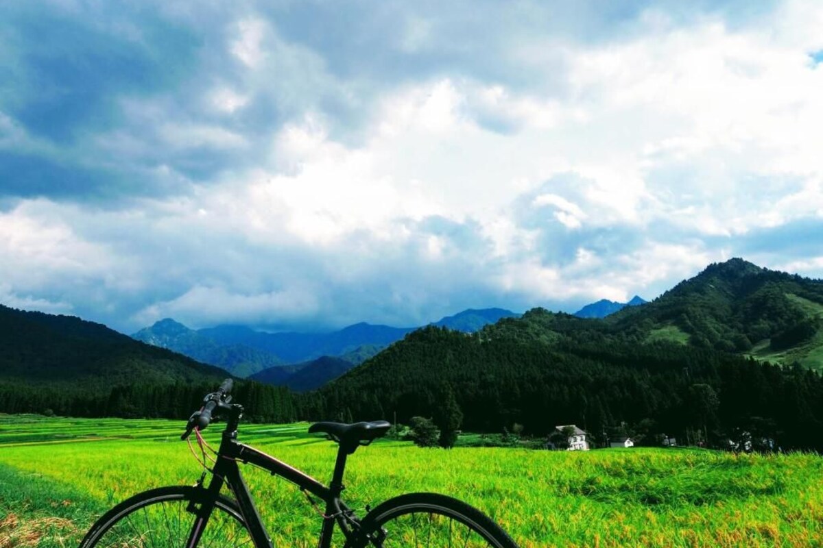 Un vélo dans un champ verdoyant, avec des montagnes en arrière-plan.