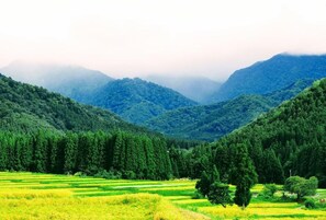 Un paysage montagneux caractérisé par des champs en terrasses et de vastes forêts.
