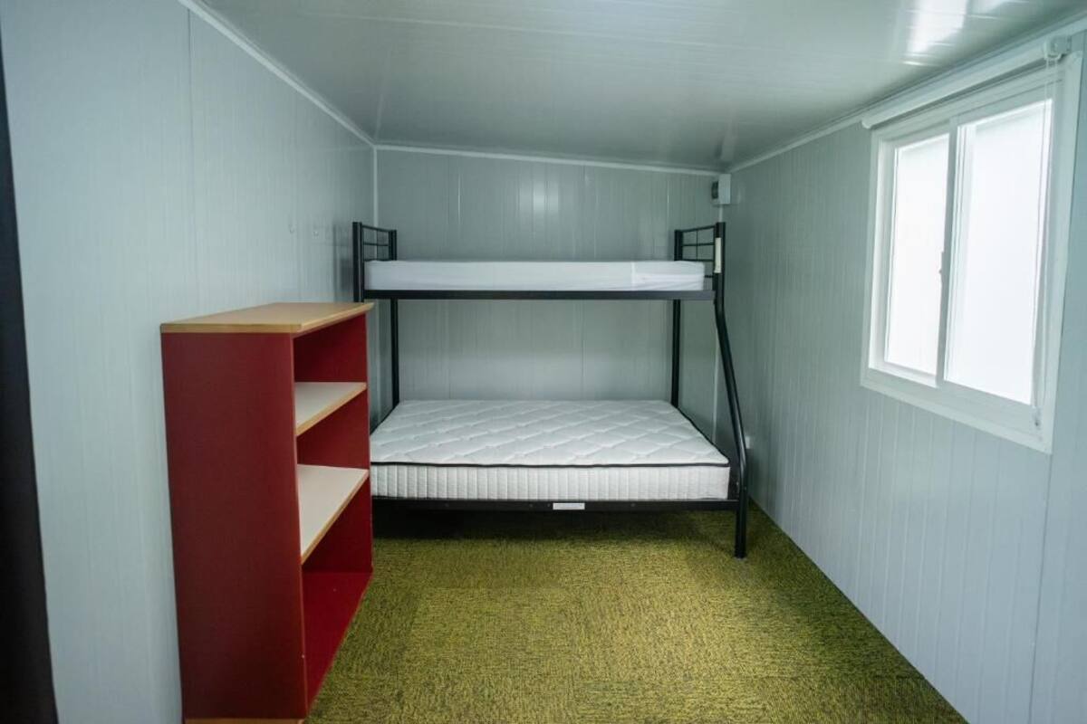 Una cama litera con una estantería a un lado, una ventana y suelo cubierto de alfombra.