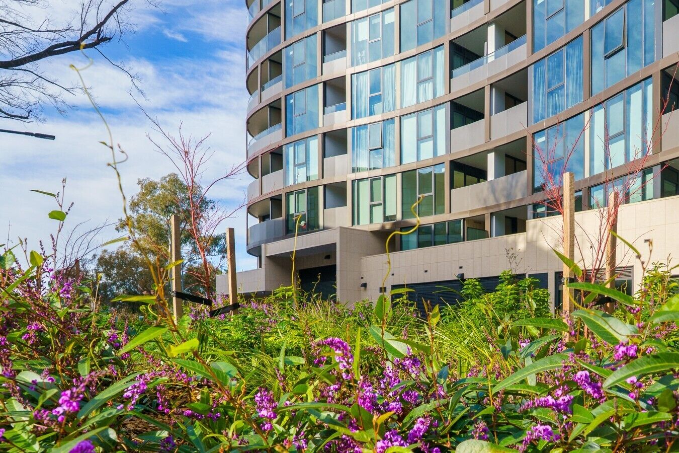 A modern multi-story building with a curved facade, surrounded by lush greenery and purple flowers.