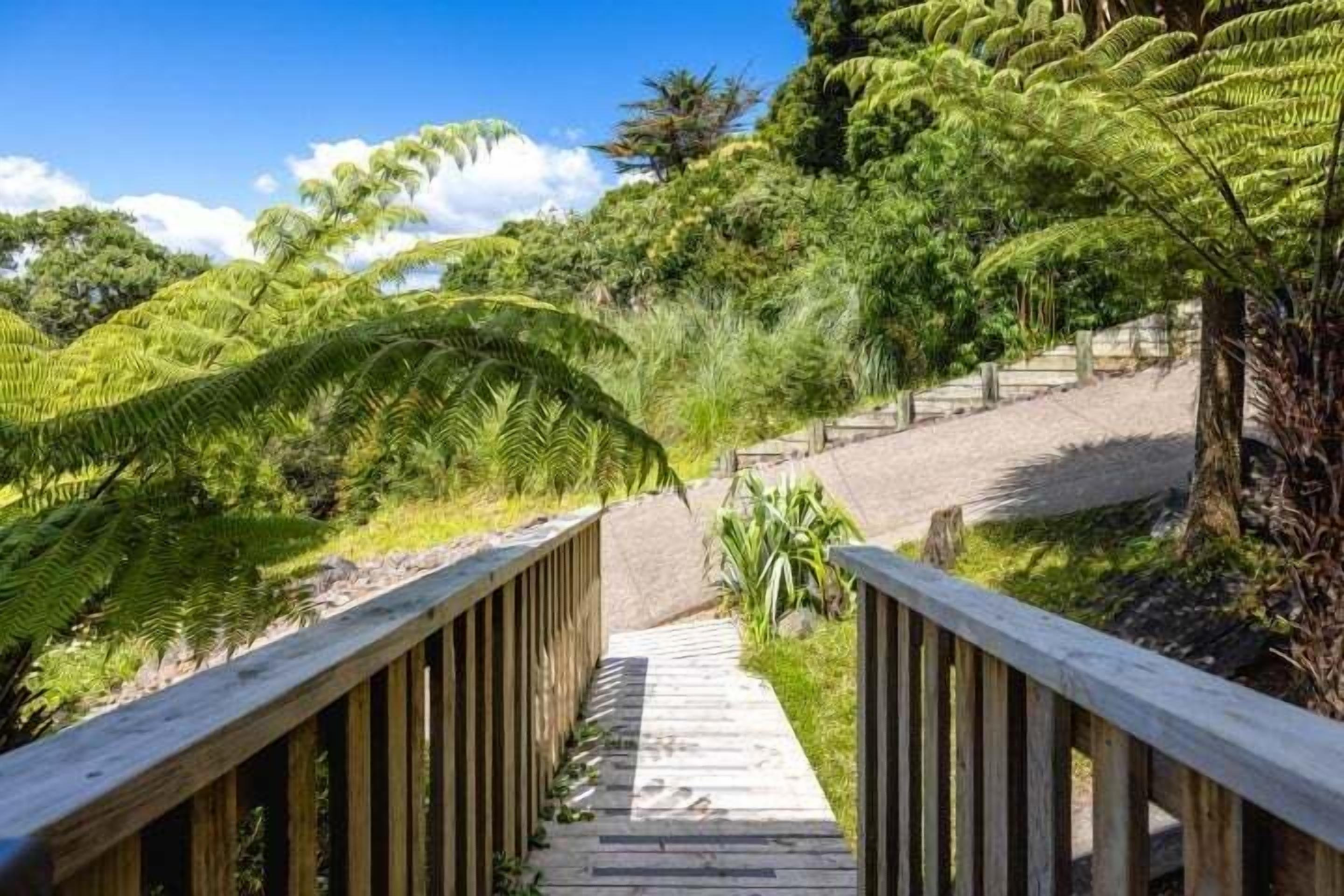 A wooden boardwalk leading through a lush garden with ferns and trees.