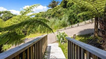 A wooden boardwalk leading through a lush garden with ferns and trees.