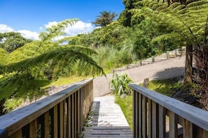 Ein hölzerner Gehweg führt durch einen üppigen Garten mit Farne und Bäumen.