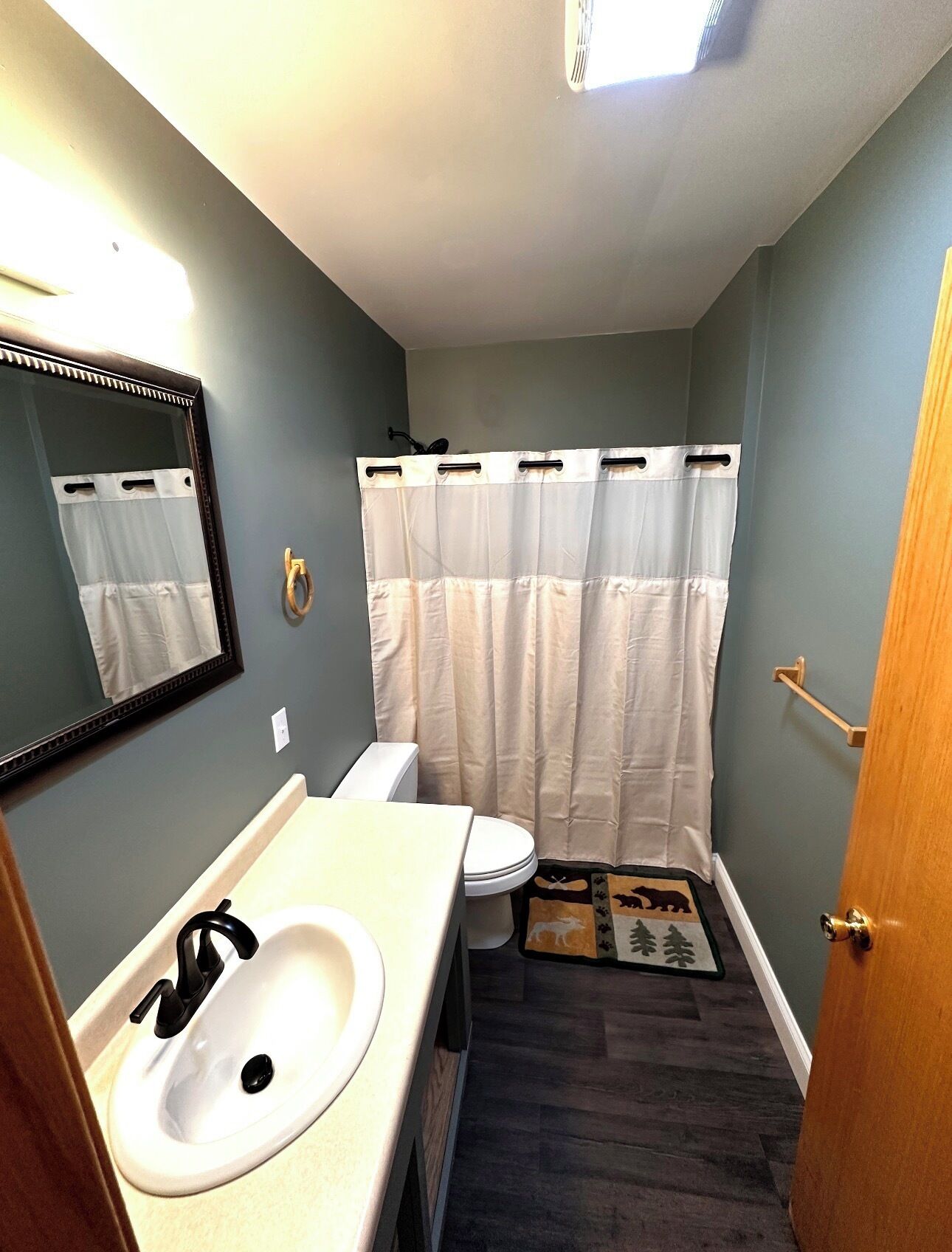 Hair dryer, towels, toilet paper