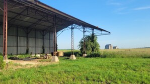 En stor ladugård av metall med en överbyggd veranda, omgiven av en gräsklädd åker och en klar himmel.