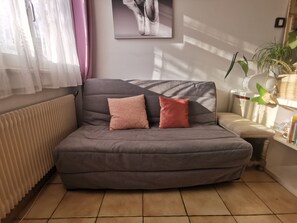 A grey sofa with two cushions, a radiator, a window with sheer curtains, a framed picture on the wall, and a plant on a shelf. - Spacious and cozy apartment with a flower-filled terrace in downtown Annecy (Annecy)