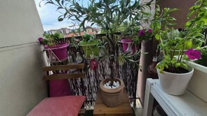 Un balcó amb plantes en testos, una banca de fusta i una taula petita.