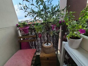 Property grounds - Spacious and cozy apartment with a flower-filled terrace in downtown Annecy (Annecy)