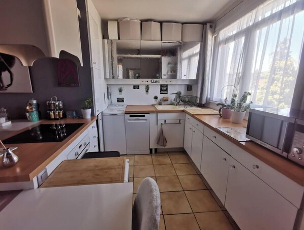 Private kitchen - Spacious and cozy apartment with a flower-filled terrace in downtown Annecy (Annecy)
