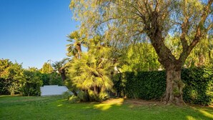 Ein Garten mit einem großen Baum, einem gepflegten Rasen und einer Hecke.