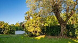 Un jardin avec un grand arbre, une pelouse bien entretenue et une haie.