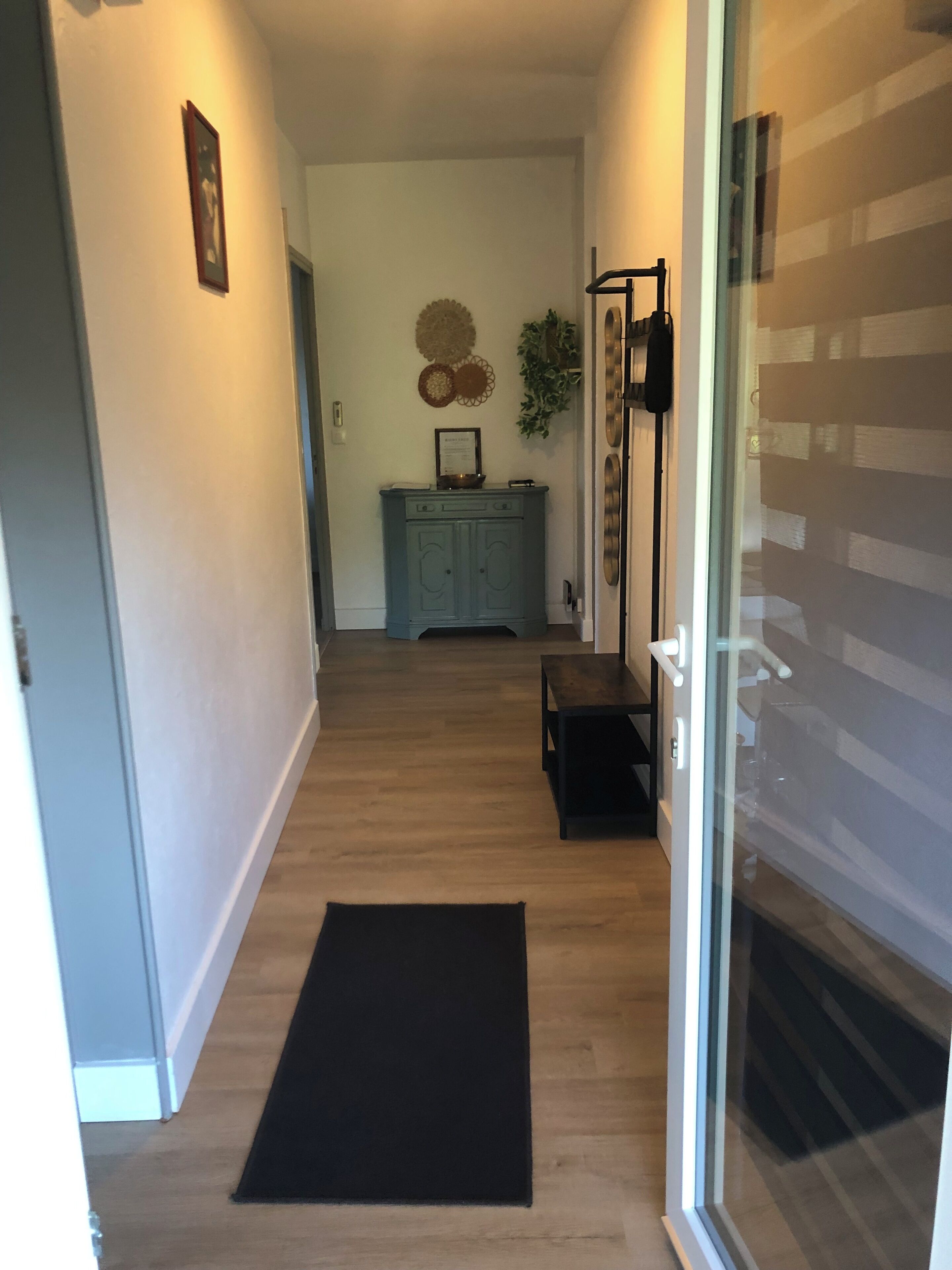 Un couloir doté d’un plancher en bois, d’un tapis noir, d’une armoire et d’une porte avec un panneau de verre.
