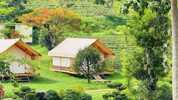Lều Deluxe, ban công, quang cảnh vườn | Ngoại thất