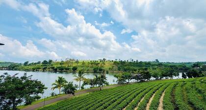 TAM CHAU FARM